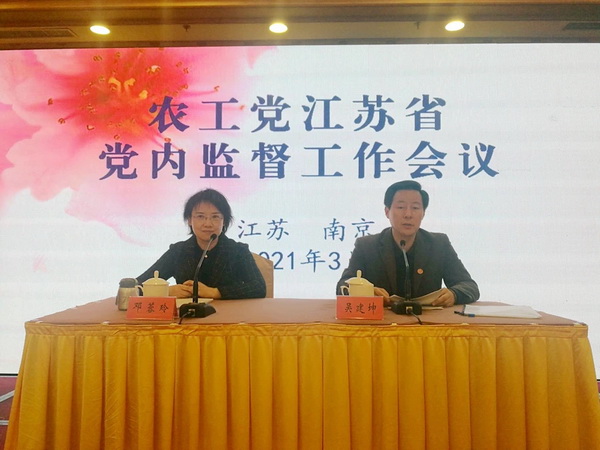 农工党江苏省党内监督工作会议在宁 (1).JPG